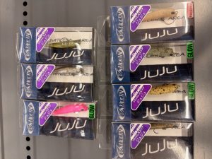 ヴァルケイン「ジュジュ」入荷しました！！！