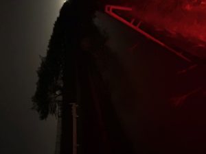 ５/３雨の中のナマズ釣行（ボウズ）