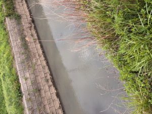 ５/５朝マズメ小雨釣行（ボウズ）