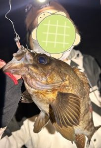 春を告げる魚