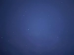 ５/１４今日も今日とてレッツゴーフィッシング！