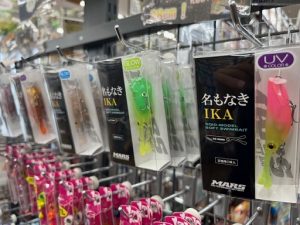 いか入荷