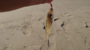 久々の遠征釣行！