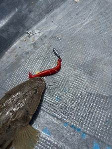 ボートフラットもイイカンジ