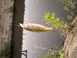 たまには、のべ竿釣行