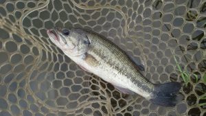 群馬遠征釣行！
