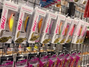 秋シーズンに向けて！