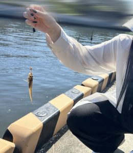 近所でハゼ釣り！