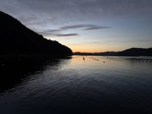 吉と出るか凶と出るかの行き先変更釣行🎣