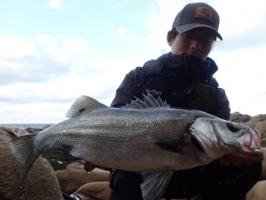 ∇釣行レポート：念願平鱸∇