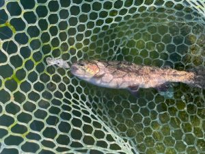 お久し振りの釣行報告！