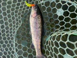 盆明けにアルクスポンド焼津釣行♪