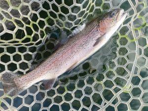 アルクスポンド焼津定例報告！