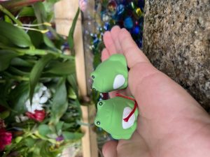 ハゼ！最近力が入ってますね！