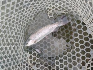 アルクスポンド焼津！11月定例報告