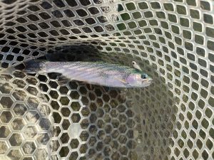 アルクスポンド焼津！11月その２