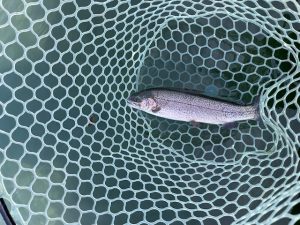 時間があれば！アルクスポンド焼津へ♪