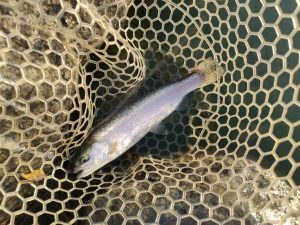 2月のアルクスポンド焼津！