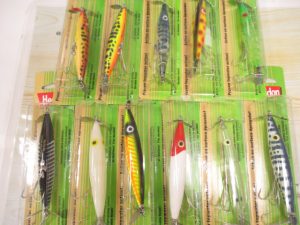 やっと届きました！ダイイングフラッター