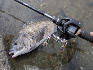 激熱の浜名湖チニング！