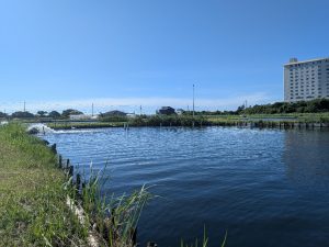 ～夏のリゾート釣行～