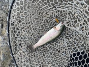 エリアトラウト釣行♪