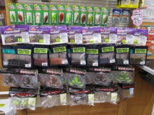 【渋谷ファイヤー通り店】カルシャッド、ビートルブラザーズ、スピードトラップ、ロジカルクローラー、房総蛙マッスル、モジャフォー、モスキートモンスター入荷！