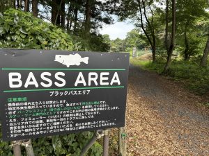 メガネが本体、スタッフ石田のブログ～栃木県 キングフィッシャー～