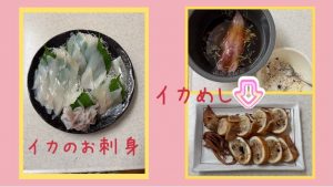 【豊橋店】菰田副店長よりイカのお裾分け🦑