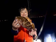 衣浦＆新居弁天海釣り公園釣果情報