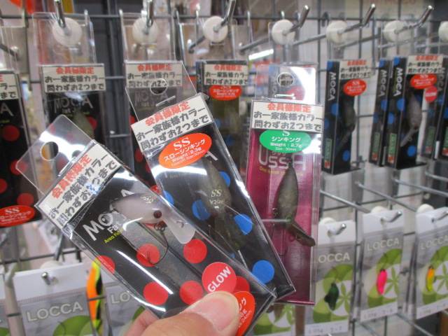 ☆モカ・ウッサ入荷☆ – 我孫子水戸街道店
