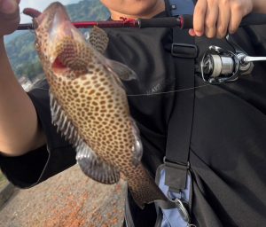 ☆一年ぶりの沼津でライトロック!☆