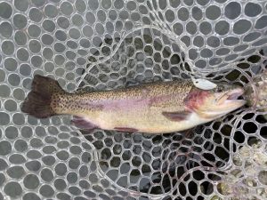 ◇25日（土）買取25%UP！◇栃木のｴﾘｱﾄﾗｳﾄに行ってきました！