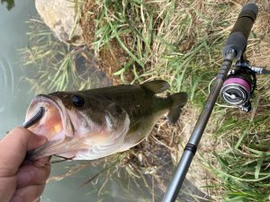 ☆水戸南の天国へ☆