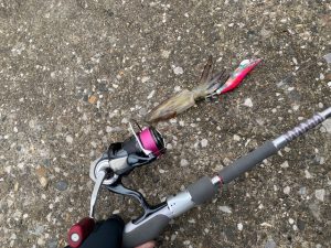 ☆ヒイカ釣りに！☆