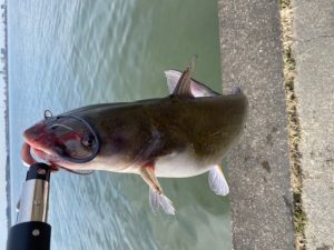 ◇買取強化中◇春の霞ケ浦へ！