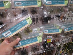 ☆GWｾｰﾙ開催中☆ﾊﾘﾈｽﾞﾐ・ﾜﾝﾃﾝJR・ﾎﾟｯﾌﾟxなど入荷！