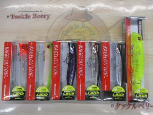 カゲロウ入荷！