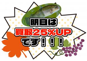 明日はぜひ羽生店に釣具を売りに来てください！！！【25日は買取25％UP】