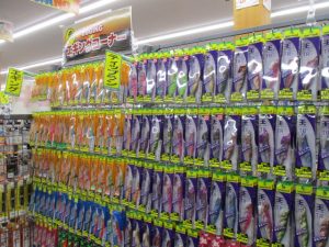 秋はエギングに行きませんか？