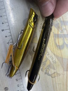 中古カゲロウなど入荷情報