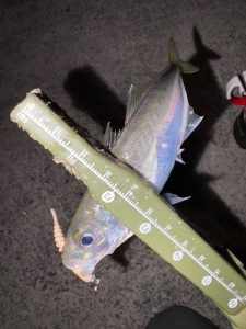 久々に海に行きましたが･･･