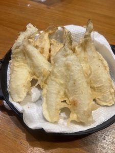 【砂浜の女王】∼釣果情報∼