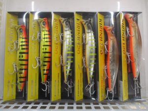 キリンジ120入荷✨