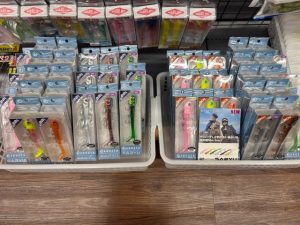 アダスタ/サリュー大漁入荷！