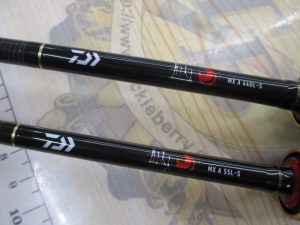 New月下美人入荷🌒