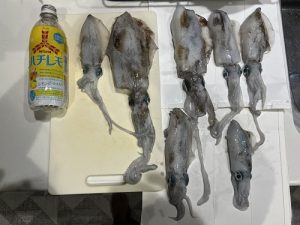 お客様釣果情報