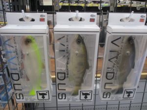 生き生きヴィヴィダス❕