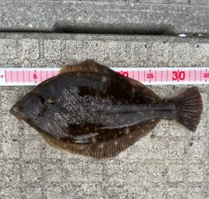 【お客様釣果】∼もはや達人∼