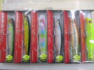 Newカゲロウ入荷✨